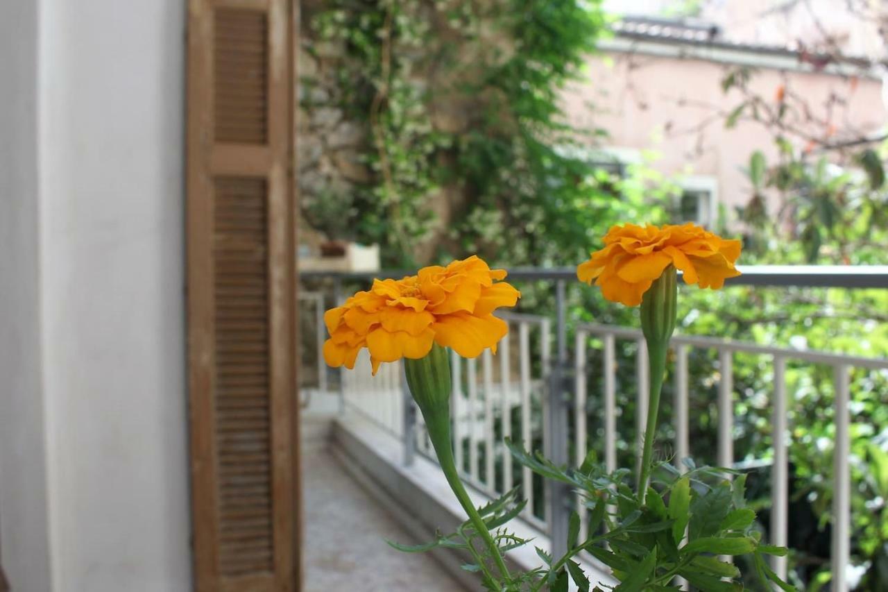 75 Sq.M. Apt In The Heart Of Athens - Renovated公寓 外观 照片